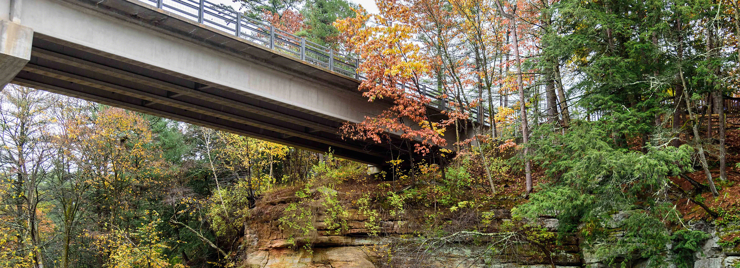 Guardians ad Litem Answering Your Legal Questions